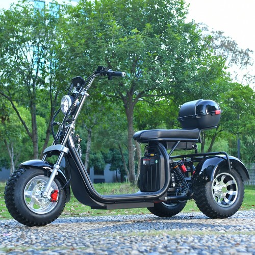 Off road electric - tricycle, for